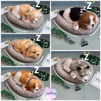 ?พร้อมส่ง ?ตุ๊กตาน้องหมาหายใจได้ ?ตุ๊กตาหมา ?ตุ๊กตาแมว ตุ๊กตาดูดกลิ่น น่ารักฝุดๆๆๆๆ ถูกใจคนรักน้องหมา ราคาถูกที่สุด!!!