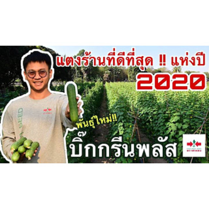 แตงร้านบิ๊กกรีนพลัส-f1-เมล็ดพันธุ์-100-ก-ตรา-ศรแดง