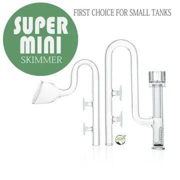 Shop Lily Pipe With Skimmer Mini online - Mar 2024