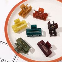 【YF】﹍▤✻  Jelly Color Acetate Hair Clip Claw Small Size Hairpin Crab Barrette Hairpins New Accessories