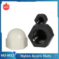 2-10Pcs M3 M4 M5 M6 M8 M10 M12 Nylon/Plastic Cap Nuts Cover Semicircle Acorn Nut Black/White Nails  Screws Fasteners