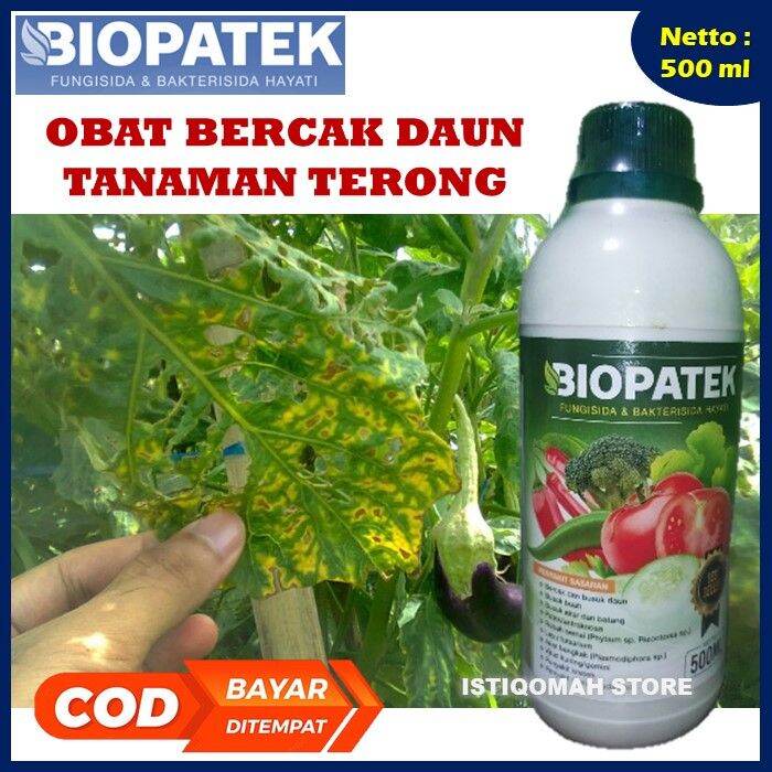 Biopatek Ml Fungisida Bakterisida Hayati Obat Hama Penyakit Bercak Pada Daun Terong Paling