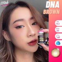 ร้านเลนส์สวยคอนแทค Wink รุ่นDNA สีเทา / สีBrown  นำเข้าจากเกาหลี มี อย.มีค่าสายตาและปกติ(แฟชั่นสุดHit100% ขายดี)