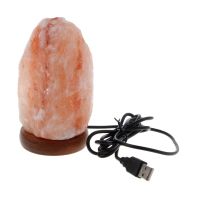 Hand Carved USB Wooden Base Himalayan Rock Salt Lamp Air Purifier Night Light