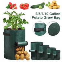 ♛☜ Home Thickened Potato Grow Bag PE Vegetable Grow Bags Home Garden Supplies Vegetable Onion Plant Bag Outdoor Garden Pots