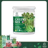 Greens mix 5 กรัม 10 ซอง / ผงผักรวม 5 ชนิด (Superfood)