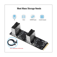 M.2 PCIe3.0 to 8 Ports SATA 6G Multiplier Controller Card B/M Key NGFF with 2 Mini SAS Interface Each Port Arrive 6Gbps