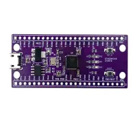 W806 Microcontroller 240MHZ 5-8Bit STM32 Development Board CH340 IoT MCU CDK Development Environment Low Power IOT