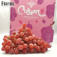 องุ่นแดงไร้เมล็ด นำเข้า (1KG) Crimson Red Grape (CHN) ~ลดพิเศษ~ส่งฟรีแช่เย็น~ องุ่นแดง องุ่นไร้เมล็ด ไร้เม็ด องุ่นคิมสัน องุ่นคริมสัน องุ่นกิมสัน