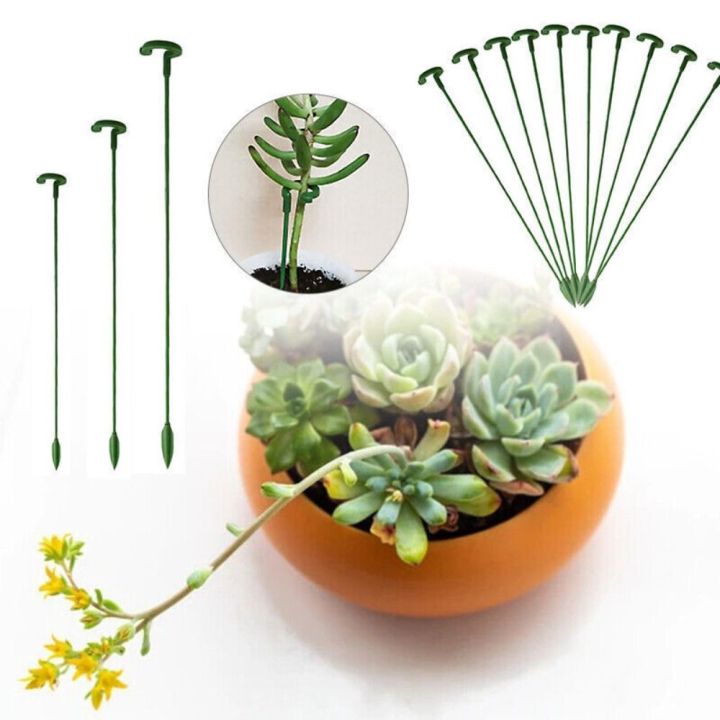 extirpate-10pcs-set-ถอดออกได้-การสนับสนุนพืช-การออกแบบแหวน-ใช้ซ้ำได้-วงแหวนรองรับ-มีประโยชน์และดี-ครึ่งรอบ-เสารองรับพืช-อุปกรณ์ทำสวนในบ้าน