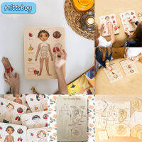 Montessori 3D ปริศนาไม้ชายอุปกรณ์เสริมหญิงมนุษย์ Body Parts Match Board เกมอวัยวะภายในการศึกษาของเล่นสำหรับ Gift
