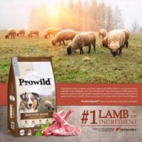 HOG อาหารสุนัข ฟรีค่าส่งProwild Lamp&amp;Rice 15kg  สำหรับทุกสายพันธุ์ อาหารหมา  สำหรับสุนัข