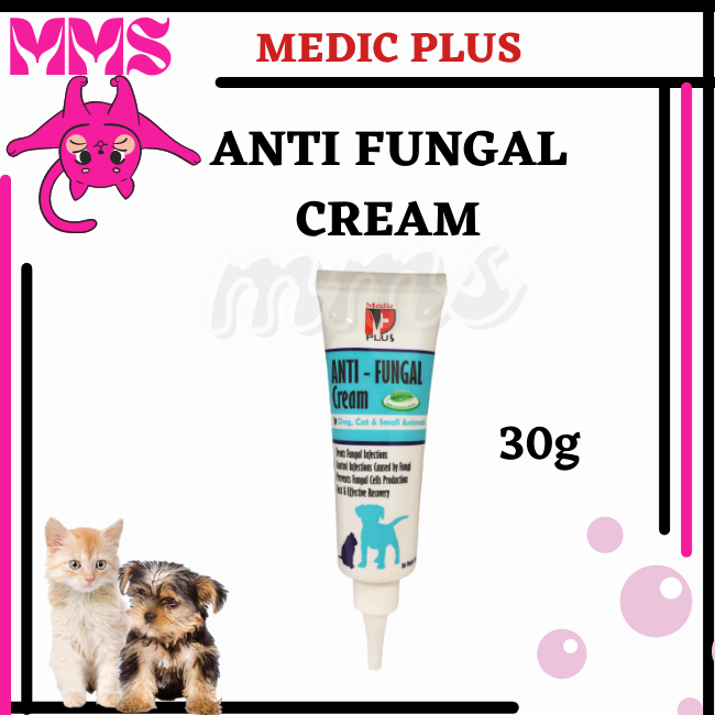 can i use antifungal cream on my dog