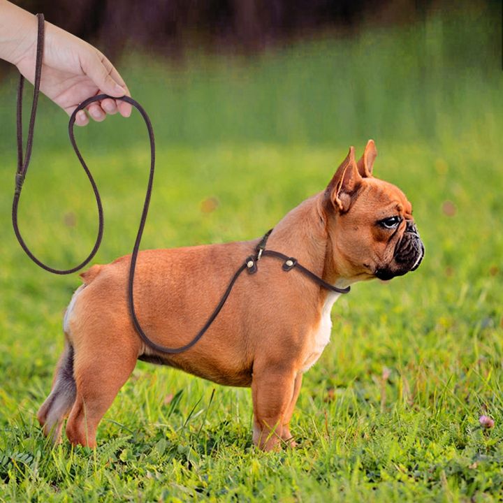 papi-pet-สัตว์เลี้ยงลื่นตะกั่วจูงสุนัขลูกสุนัขหนังแท้เชือกจูง160เซนติเมตร0-6เซนติเมตรการฝึกอบรมสุนัขตะกั่วโซ่เชือกลากสำหรับสุนัขขนาดกลางขนาดเล็ก
