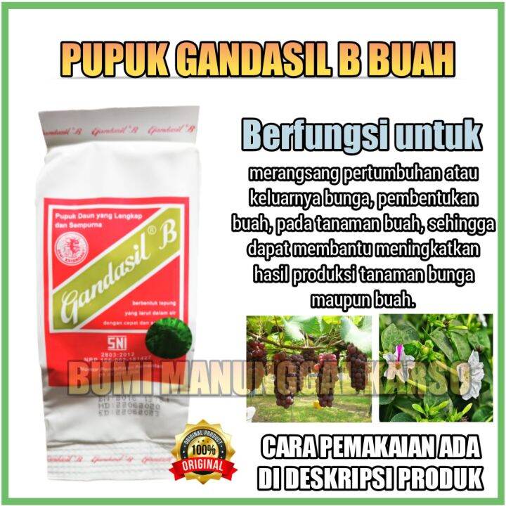 Pupuk Gandasil B Buah | Lazada Indonesia