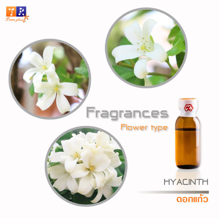 หัวน้ำหอมกลิ่น-fw18-flower-hyacinth-ดอกแก้ว-ปริมาณ-25กรัม