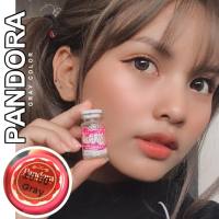 ? มีค่าสายตา ? Wink Pandora Gray Brown สายตาปกติ 00 คอนแทคเลนส์ ตาโต ลายฮิต Tiktok แถมตลับฟรี!!