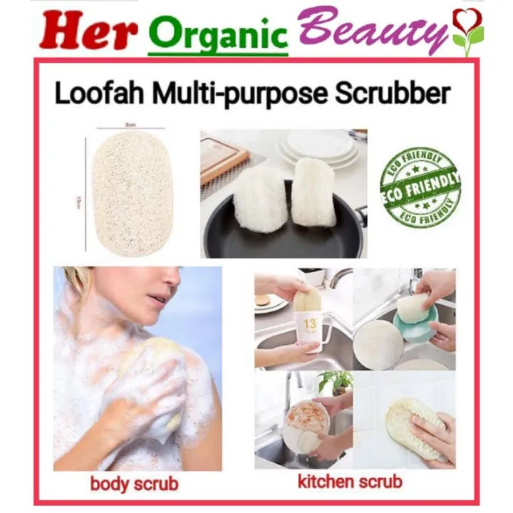 Loofah Multipurpose Scrubber (Kitchen Sponge & Body Scrub). APL Lazada PH