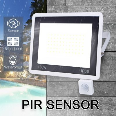 【CW】 LED Floodlight PIR Motion Sensor 220V 10W 20W 30W 50W 100W Cold Warm White Reflector Waterproof IP66 Outdoor Induction Lighting