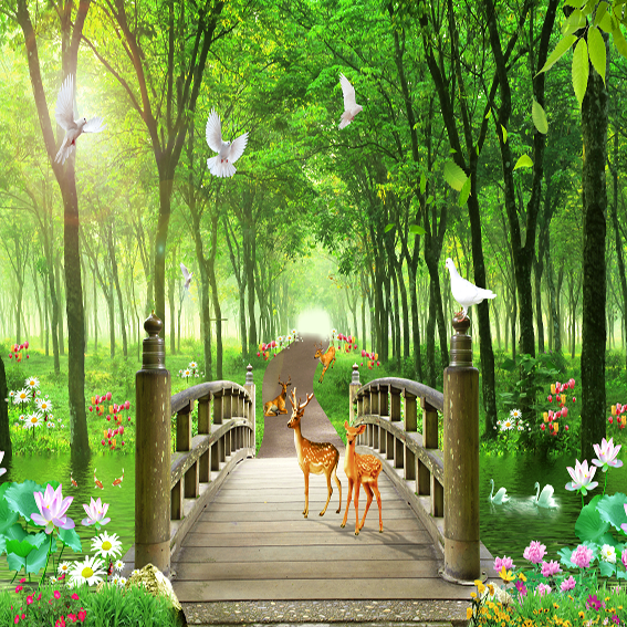 Hình nền động phong cảnh Video  Cool pictures of nature Landscape  wallpaper Scenery wallpaper