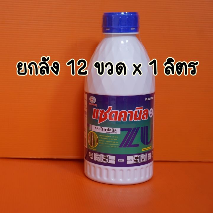 ยกลัง-12-ขวด-คลอโรทาโลนิล-1ลิตร-แซดดานิล-ดาโคนิล-ป้องกันโรคผลเน่าในทุเรียน-ราสนิม-ราน้ำค้าง-โรคดอกจุดสนิมกล้วยไม้-ใบจุด-ราดำ-ตากบ-ไส้ดำ