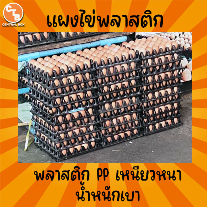 แผงไข่พลาสติก-ถาดไข่-แผงไข่ไก่-แผงไข่ใส่ได้ทุกเบอร์-แผงละ-30-ฟอง