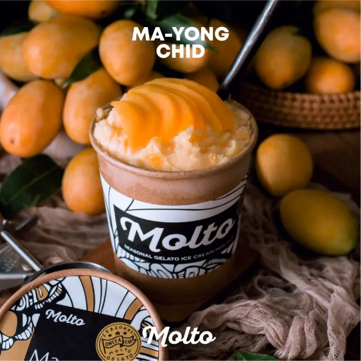 Mayong Chid Sorbet ไอศกรีม มะยงชิด ซอเบท์ 1 ถ้วย 16 Oz Molto