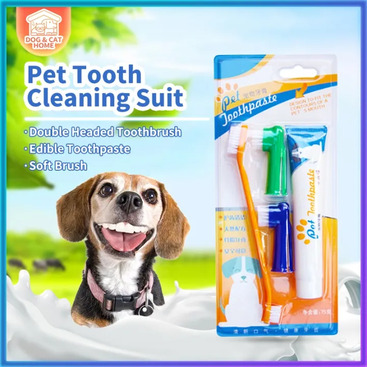 Dog Toothbrush And Toothpaste Pet Toothbrush Set w/ Toothpaste Lazada PH