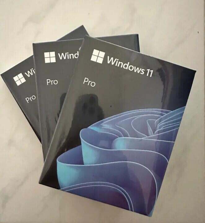 Microsoft Windows 11 Pro (64-Bit, USB Flash Drive)