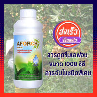 เอฟอชสารจับใบ AFORCH สารดูดซึมเอฟอช ขนาด 1000 ซีซี สารจับใบ ชนิดพิเศษ เร่งการดูดซึม ช่วยเพิ่มประสิทธิภาพการเปียกและแทรกซึมใบ