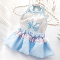 Blue Color Dogs Dresses with Bow Decor Pet Clothes 2022 Spring and Summer Newest Dog Clothes Bowknot Dresses for Small Dogs Dresses