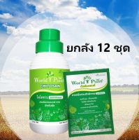 คู่หูมหัศจรรย์ ปุ๋ยน้ำ World Plant เวิลด์แพลนท์ สารเพิ่มประสิทธิภาพ+ไคโตซาน 12 ชุด (ไคโตซาน 12 ขวด + สารเสริมประสิทธิภาพ 12 ซอง)