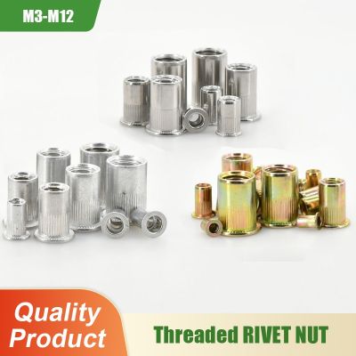 M3 M4 M5 M6 M8 M10 M12 Stainless Steel Rivet Nut Threaded Flat Flange Insert Nuts Carbon Steel Rivetnut Aluminum Alloy Nutsert