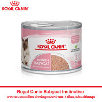 Royal Canin BabyCat 195 g x 6 can อาหารแมวแบบเปียกสำหรับลูกแมวและแม่แมวตั้งท้องหรือให้นมลูกแมว195กรัมx6กระป๋อง