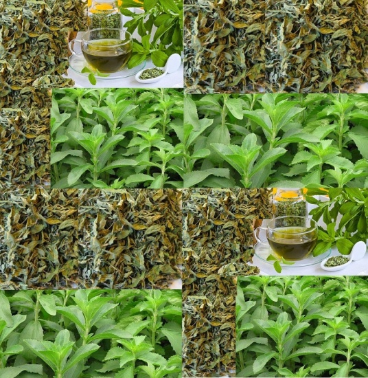 Loại 1 1kg trà cỏ ngọt sấy khô - có tặng quà - hiệu trà thảo lộc - ảnh sản phẩm 1