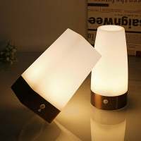 Wireless Induction LED Night Light Bedside Reading Camping Lamp With Motion Sensor on/off switch for Children Kids Birthday Gift