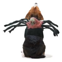 ZZOOI Cat Back Spider Costumes Halloween Creative Cats Dogs Skulls Costumes Cats Cosplay Props Halloween Pet Role Play Accessories