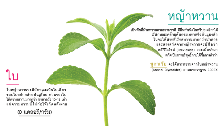 หญ้าหวานผง100-stevia-powder-ขนาด-200-กรัม