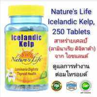 สาหร่ายเคลป์ (จากไอซ์แลน) Natures Life Icelandic Kelp, 250 Tablets