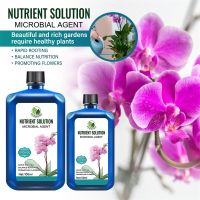 Plant Concentrated Nutrient Solution Fertilizer Promote Flower Bud Differentiation Strong Root Growth Disease Resistance