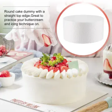 Shop Dummy Cake With Design online | Lazada.com.ph