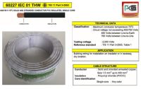 PKS สายไฟ THW 1*4.0mm² (100 เมตร)