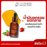 ส่งไว ? พรีออเดอร์ SKINPLANTS Rose Hip Oil 15 ml. น้ำมันลดรอยแตกลาย ลดเลือนจุดด่างดำรอยดำจากสิว ลดริ้วรอยเหี่ยวย่น