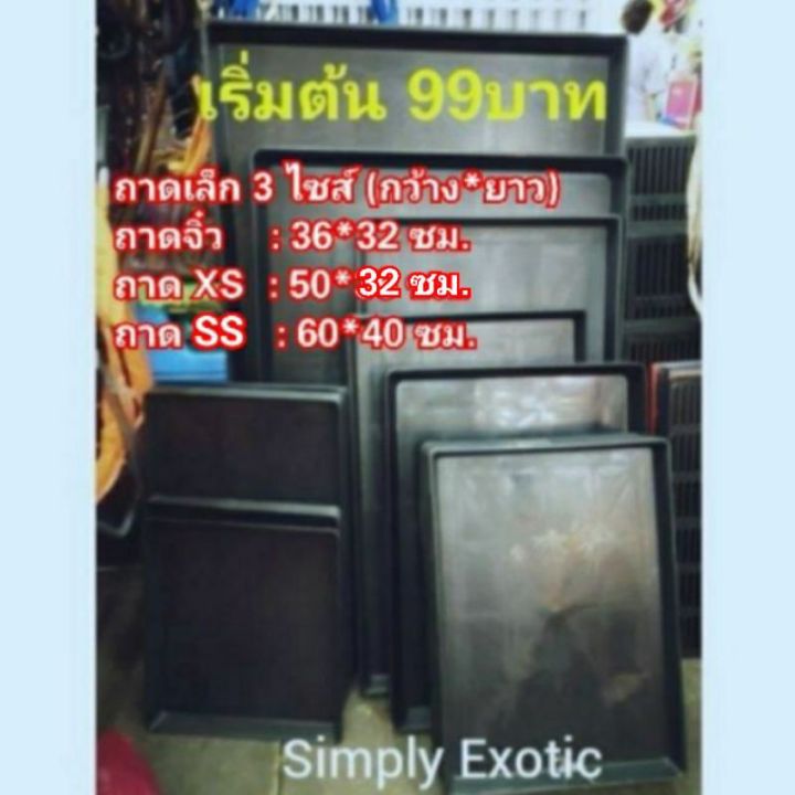 ส่งฟรี-ถาดรองกรงขนาดเล็ก-ถาดพลาสติกรองกรงสัตว์เลี้ยง-ถาดรองกรง-ถาดรองกรงสุนัข-ถาดรองพื้นกรงสัตว์เลี้ยง-ถาดรองพื้นกรงสุนัข