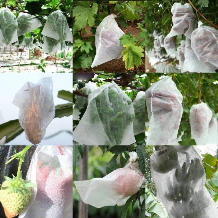 100pcs-fruit-protection-bag-plant-grow-bags-non-woven-fabric-for-grapes-vegetable-apples-pouch-mesh-bag-garden-accessories-tools