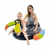 ห่วงยางนกเงือกดำ Inflatable Black Toucan Float By Float Me Summer