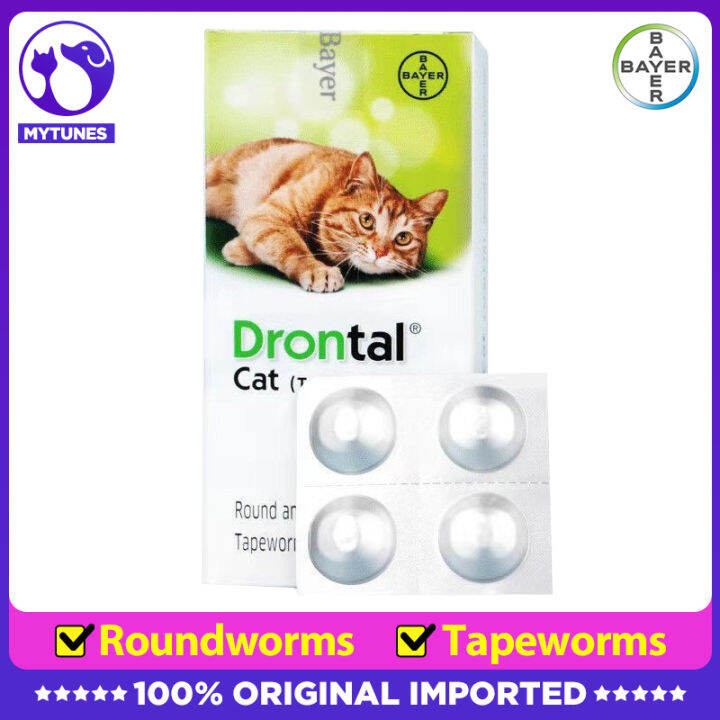 BAYER Drontal Plus Tablet Dewormer 1 Tablet For Cat Roundworms And ...