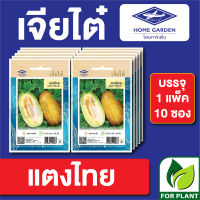 ผักซอง เจียไต๋ เมล็ดพันธุ์ พันธุ์ผัก แตงไทย บรรจุแพ็คล่ะ 10 ซอง ราคา 70 บาท