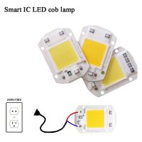 สมาร์ทไอซีไฟ Led เมทริกซ์สำหรับโปรเจคเตอร์20W 30W 50W 110V 220V แบบ Diy โคมไฟฟลัดไลท์สปอตไลท์สำหรับไดโอด Led กลางแจ้ง