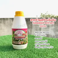 สาหร่ายสกัดเข้มข้นชนิดน้ำ Seaweed extract 500ml ช่วยเร่งการเจริญเติบโต บำรุงต้น ราก ใบ แก้ปัญหาต้นโทรมฟื้นฟูสภาพต้น